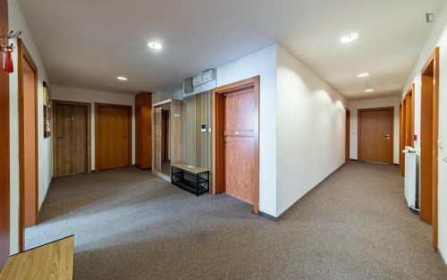 Big twin bedroom in the Vinohrady district - Gallery - 14