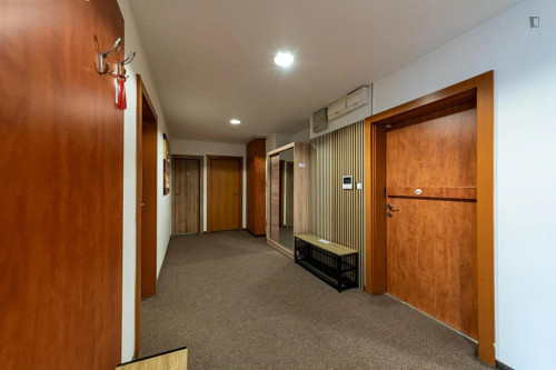 Big twin bedroom in the Vinohrady district - Gallery - 12