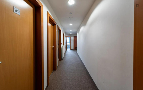 Big twin bedroom in the Vinohrady district - Gallery - 11