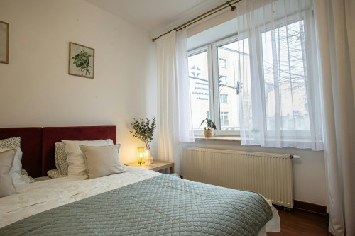 Adama Stanisława Naruszewicza, Rzeszów - Gallery - 5