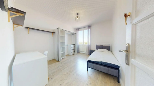 Cours Émile-Zola, Villeurbanne