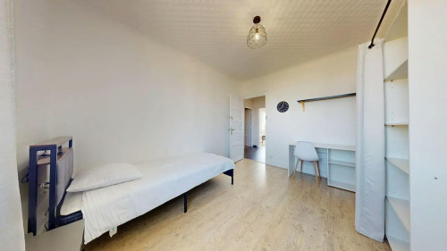 Cours Émile-Zola, Villeurbanne