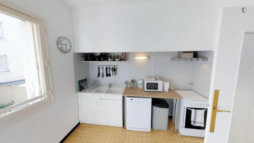 Big double bedroom next to the University of Montpellier - Institute of Pharmacy Industrial - Gallery - 8