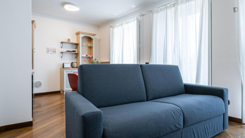 Splendid 2-bedroom apartment near Università Cattolica del Sacro Cuore  - Gallery - 36