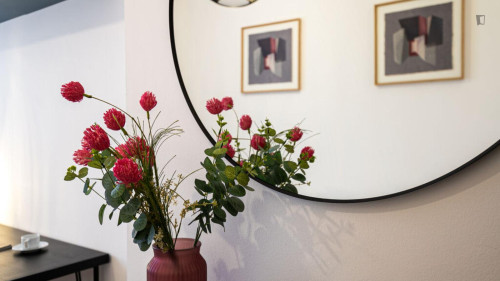 Splendid 2-bedroom apartment near Università Cattolica del Sacro Cuore  - Gallery - 24