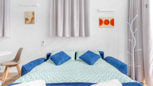 Excellent 1-bedroom apartment in Vigentino
