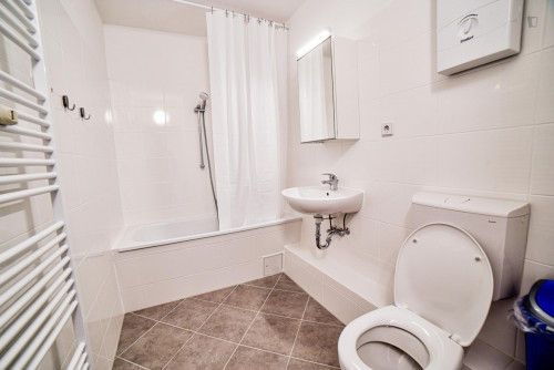Beautiful single bedroom in a 3-bedroom apartment near Elbruchstraße transport station - Gallery - 6