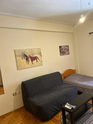 Homely 1-bedroom flat in Kallithea