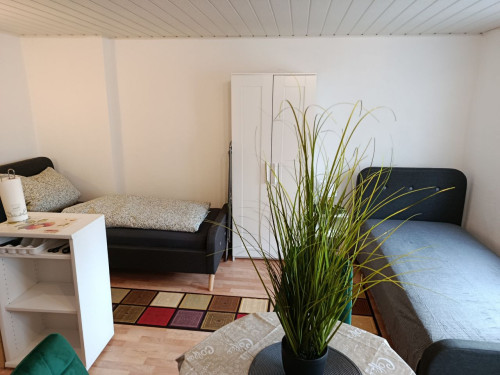 New apartment in Freiberg - Gallery - 7