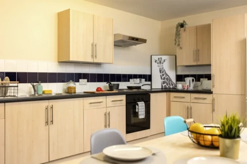Newport Student Village - Gallery - 21