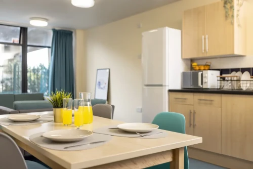Newport Student Village - Gallery - 13