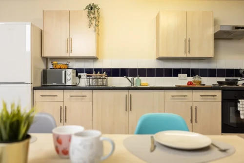 Newport Student Village - Gallery - 15