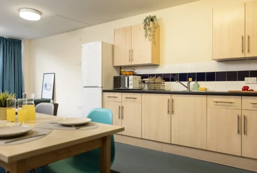 Newport Student Village - Gallery - 14