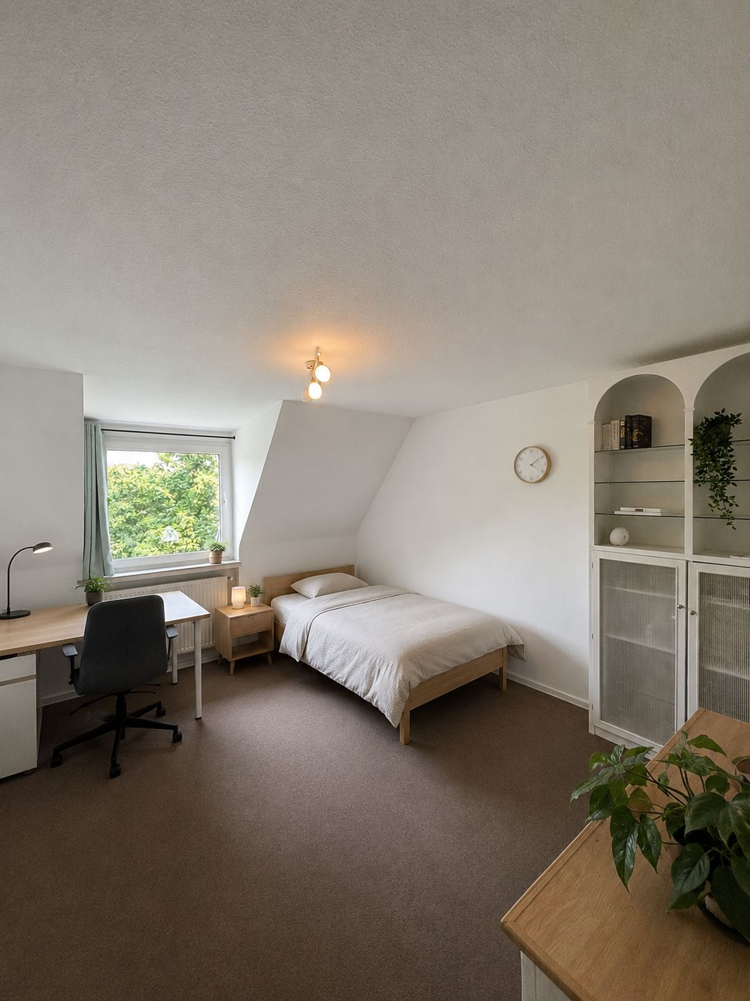 Shared flat in Cologne