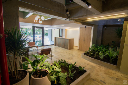 B48 Laureles Collective - Gallery - 10