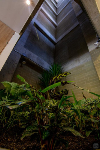 B48 Laureles Collective - Gallery - 22