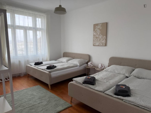 Elegant 2-bedroom apartment in Nibelungenviertel - Gallery - 5