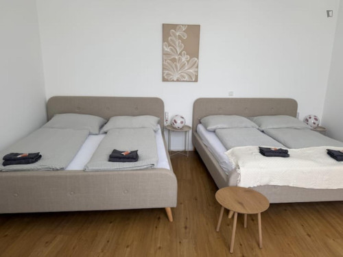 Welcoming 2-bedroom flat in Nibelungenviertel - Gallery - 11