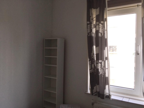 Appealing single bedroom in Stadsdriehoek - Gallery - 12