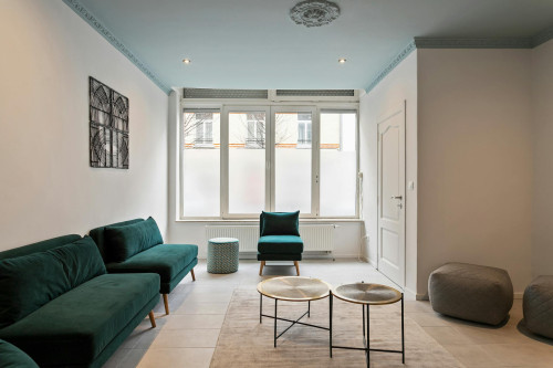 Rue de Pavie, Brussels - Gallery - 9