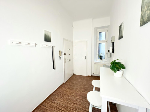 Reindorfgasse, Vienna - Gallery - 7