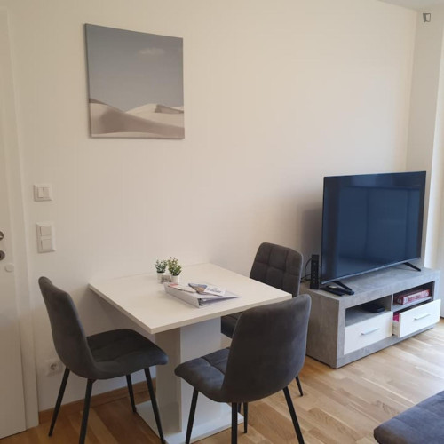Comfy 1-bedroom flat in the Straßgang district