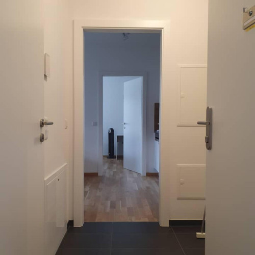 Comfy 1-bedroom flat in the Straßgang district