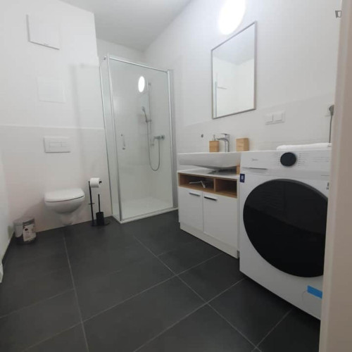 Comfy 1-bedroom flat in the Straßgang district - Gallery - 6