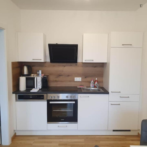 Comfy 1-bedroom flat in the Straßgang district - Gallery - 8