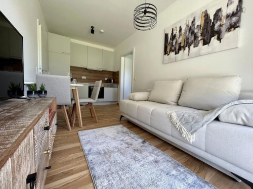 Comfy 1-bedroom flat in the Straßgang district - Gallery - 6