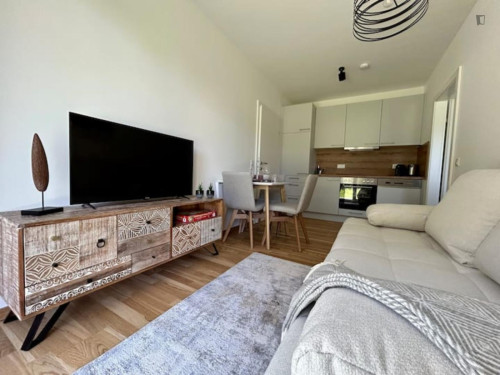 Comfy 1-bedroom flat in the Straßgang district - Gallery - 5