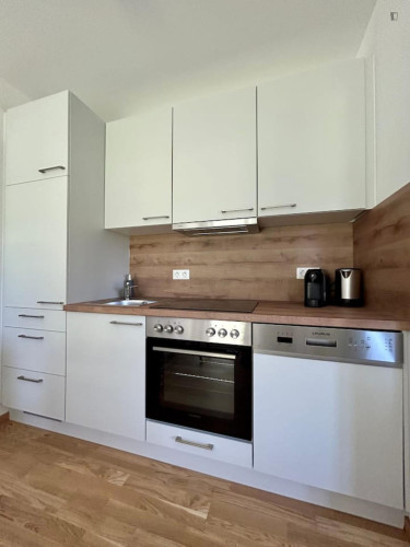 Comfy 1-bedroom flat in the Straßgang district - Gallery - 10