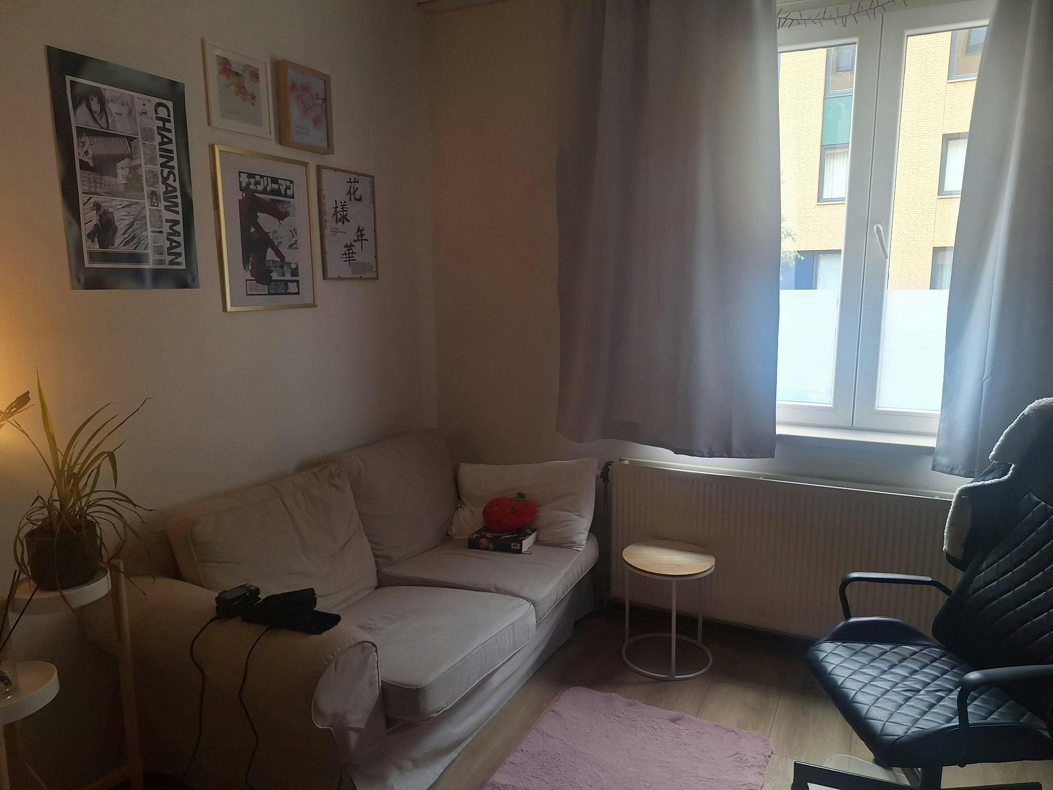 Entire Place - 1