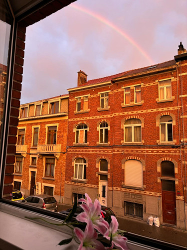 Rue Florimond De Pauw, Anderlecht - Gallery - 8