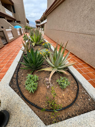 Calle Llanos del Poris, Santa Cruz de Tenerife - Gallery - 10