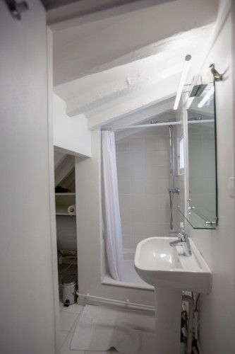 ID 455 Marais / Roi de Sicile - Gallery - 11