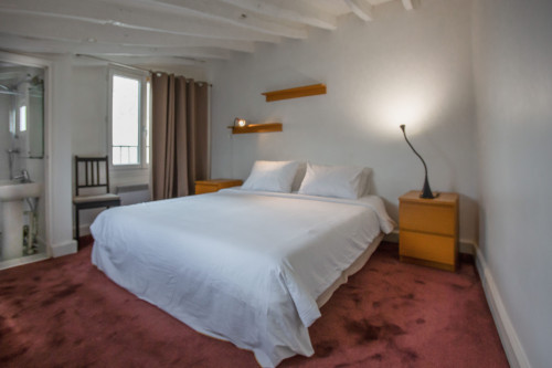 ID 455 Marais / Roi de Sicile - Gallery - 15