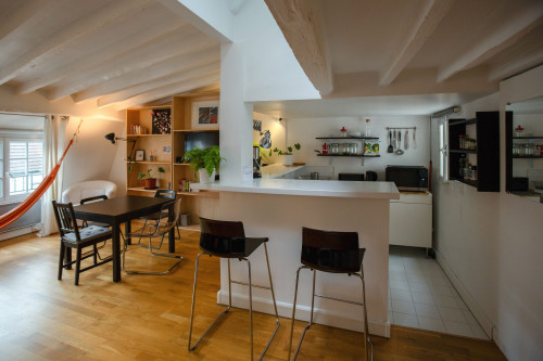 ID 455 Marais / Roi de Sicile - Gallery - 12