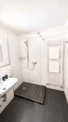 Business apartment in Singen (Hohentwiel)