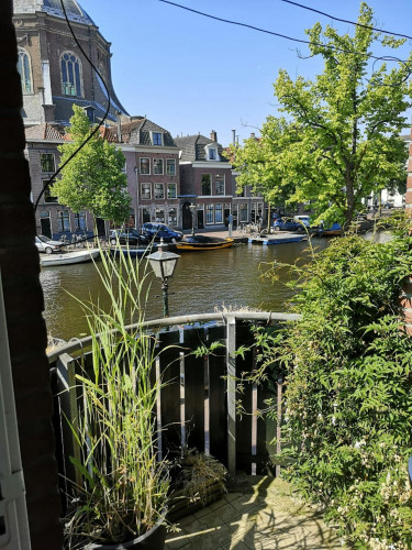 Oude Singel, Leiden - Gallery - 7
