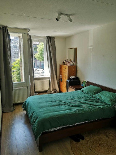 Oude Singel, Leiden - Gallery - 5