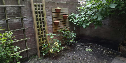 Oude Singel, Leiden - Gallery - 6