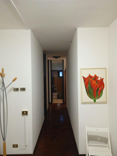 Via Niccolò Tommaseo, Padova - Gallery - 5