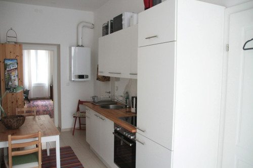 Anzengrubergasse, Vienna - Gallery - 7