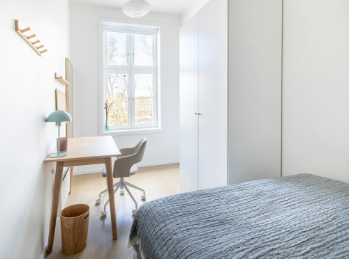 Seilduksgata, Oslo
