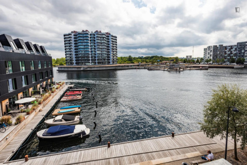 Spacious single bedroom with balcony close to the Aalborg University - Gallery - 14