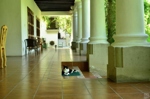 Agua Residence