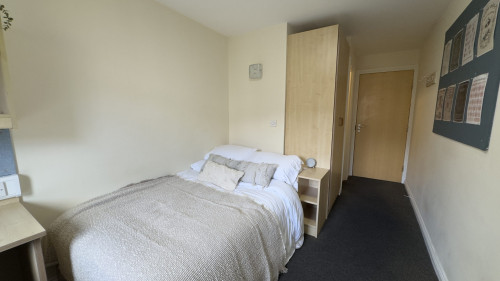 Trinity Student Village - Rooms
