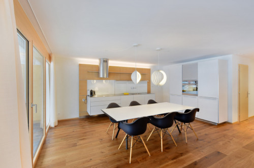 Rawilstrasse Home - Gallery - 10