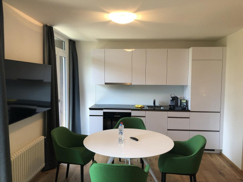 Rawilstrasse Home - Gallery - 76